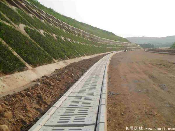 河提邊坡植草護坡綠化圖片 河提邊坡植草護坡綠化圖片