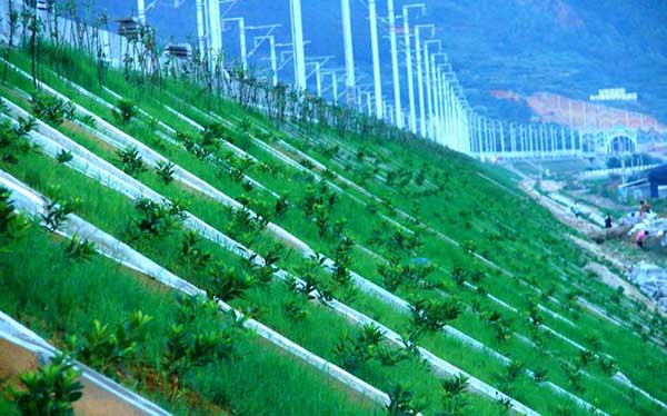 高鐵鐵路植草護坡工程圖片 高鐵鐵路植草護坡工程圖片