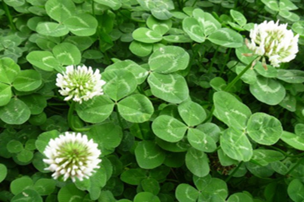 1647573594289526.jpg 1647573594289526.jpg