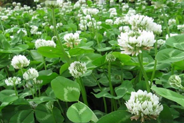 1647573594465065.jpg 1647573594465065.jpg