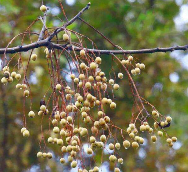 1648098223243659.jpg 1648098223243659.jpg