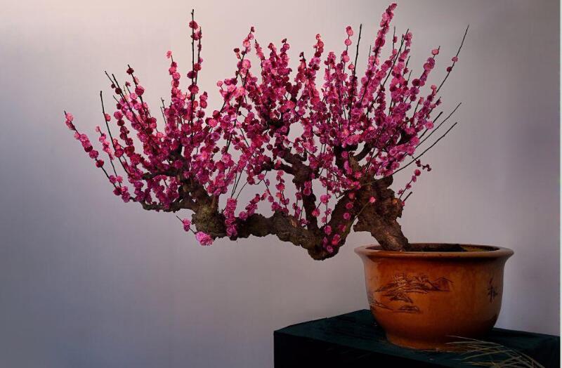 1648442663850734.jpg 1648442663850734.jpg