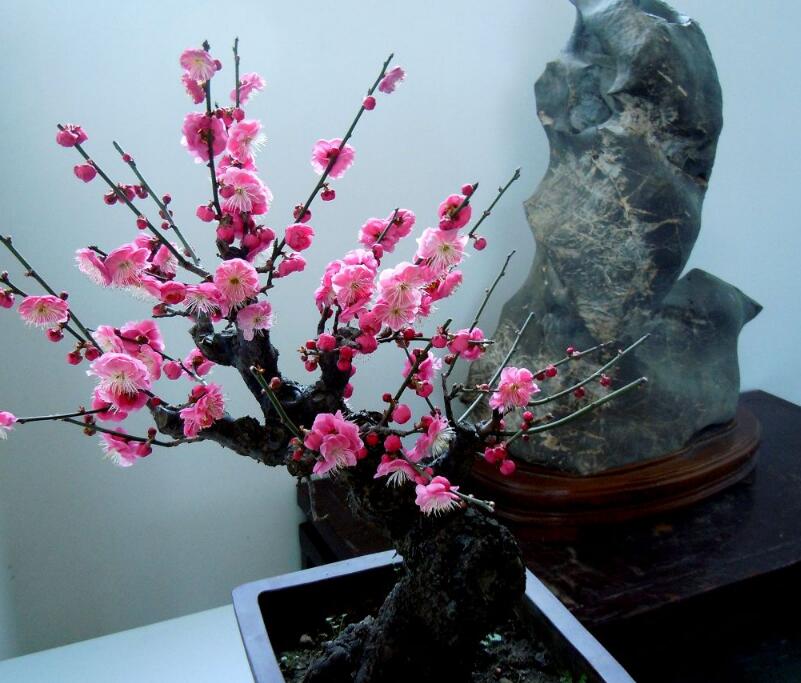 1648442664582031.jpg 1648442664582031.jpg