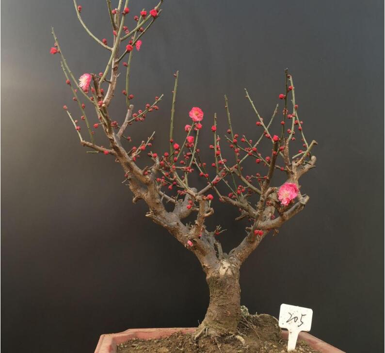 1648442664824181.jpg 1648442664824181.jpg