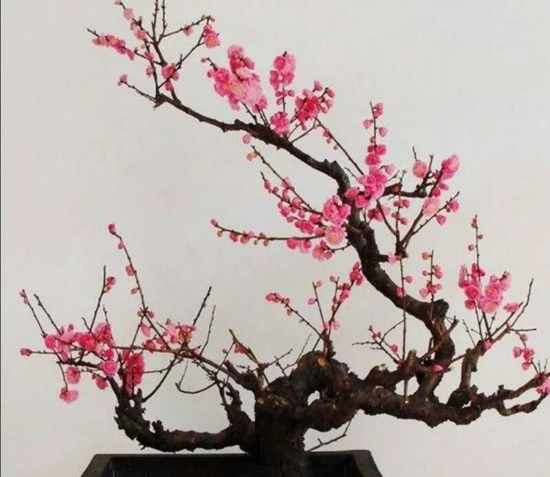 1648442664973948.jpg 1648442664973948.jpg