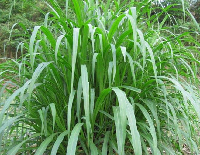 1653144252156509.jpg 1653144252156509.jpg