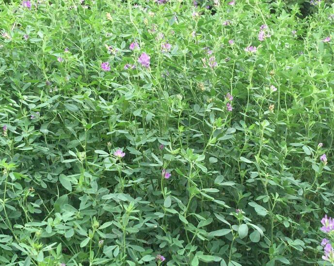 1653799324554170.jpg 1653799324554170.jpg