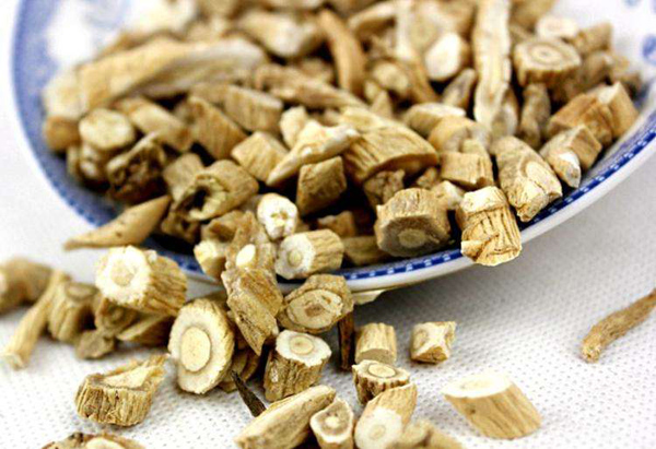 板藍根 板藍根