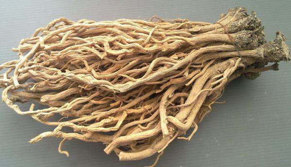 板藍根 板藍根