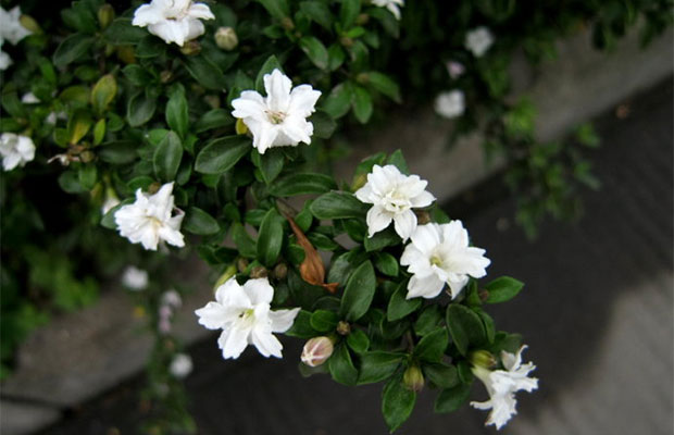49ff3bee44c601ea9c2a0&000.jpg