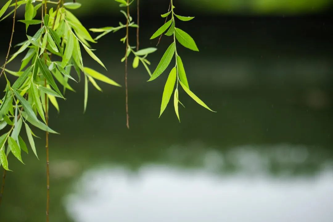 1673148372123337.jpg 微信圖片_20230102170421.jpg