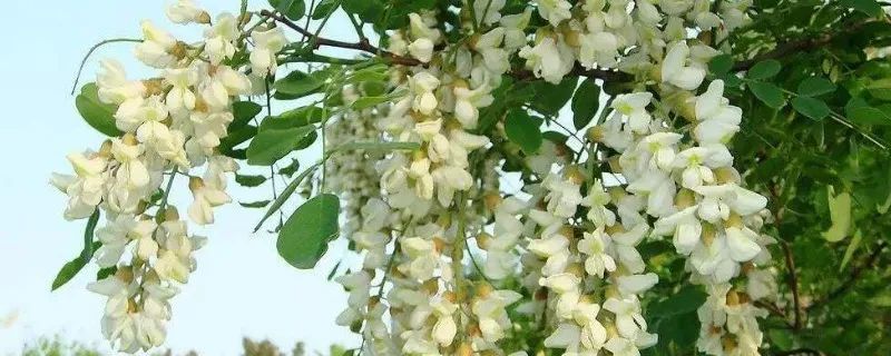 1673151175762408.jpg 微信圖片_20221025220229.jpg