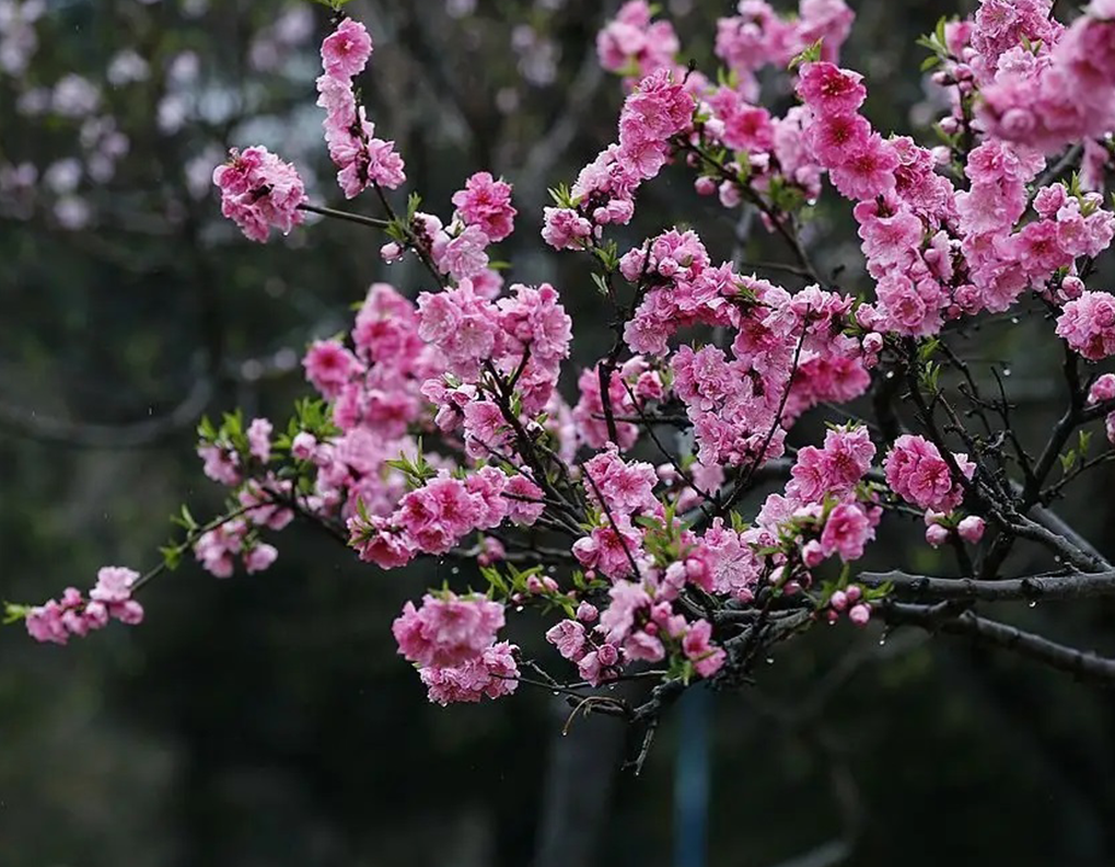 1673779763479065.png 微信圖片_20230102170932.png