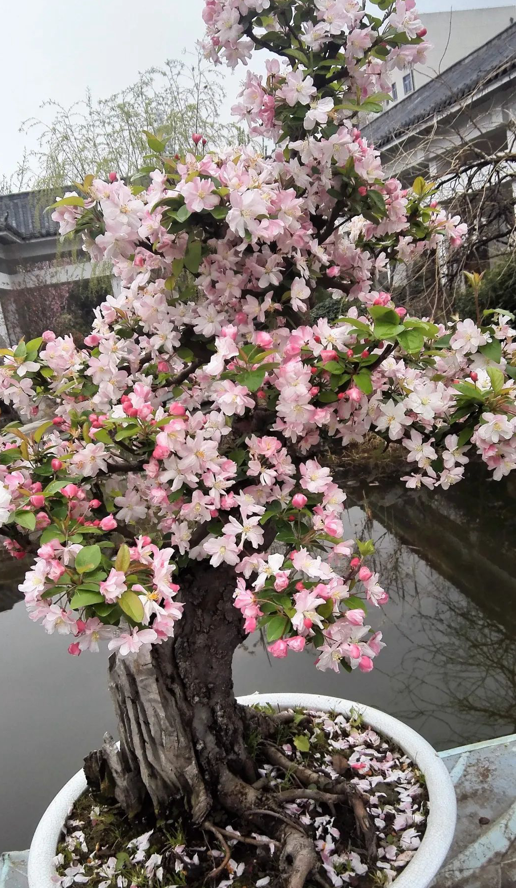 1675490667352454.jpg 微信圖片_20230204140229.jpg