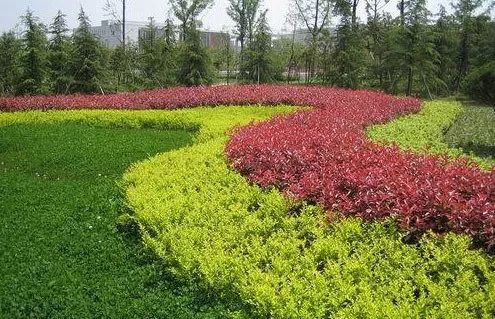 1675491794566142.jpg 微信圖片_20230204142209.jpg
