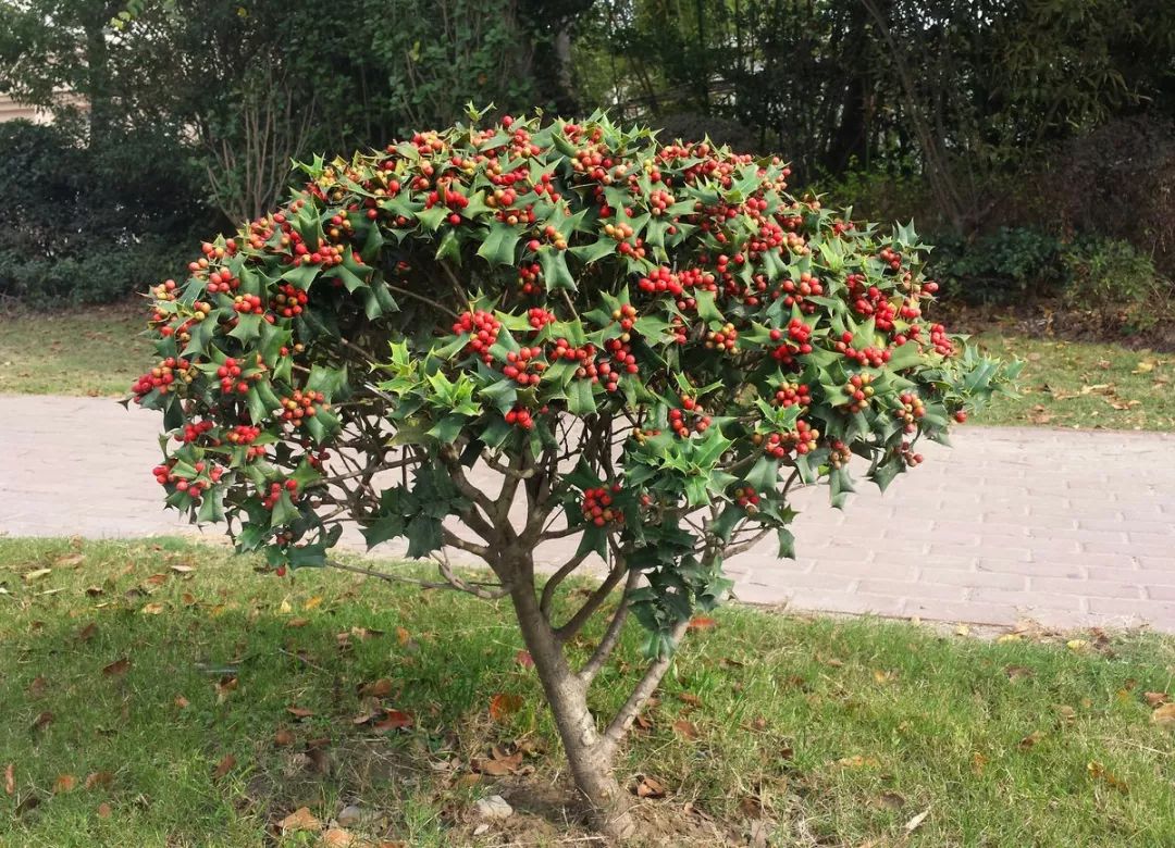 1676172630644328.jpg 微信圖片_20230212112916.jpg