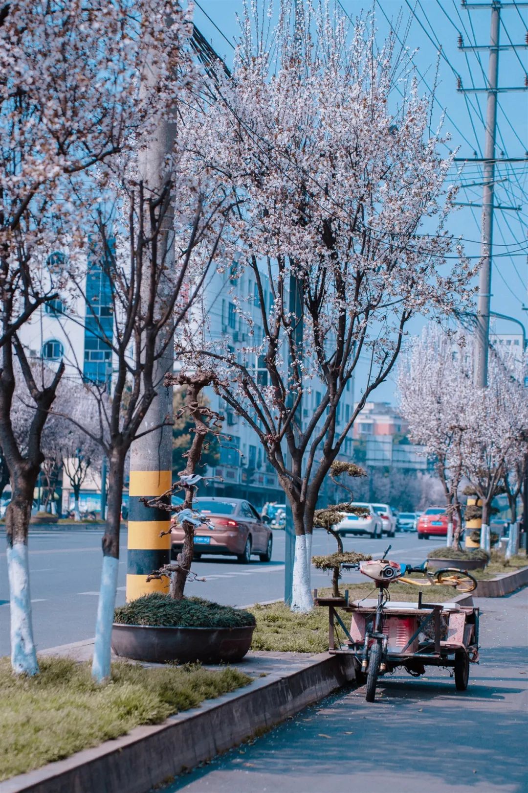1676673514117973.jpg 微信圖片_20230107194945.jpg