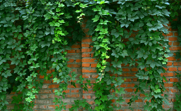 1676673850700545.png 微信圖片_20221129022410.png