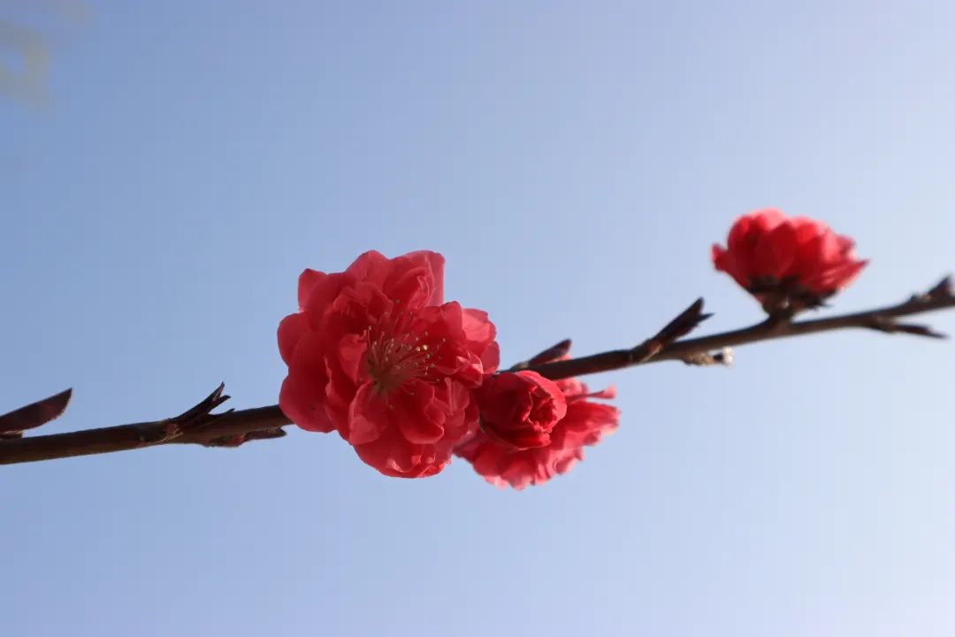 1676897333374690.jpg 微信圖片_20230220204737.jpg