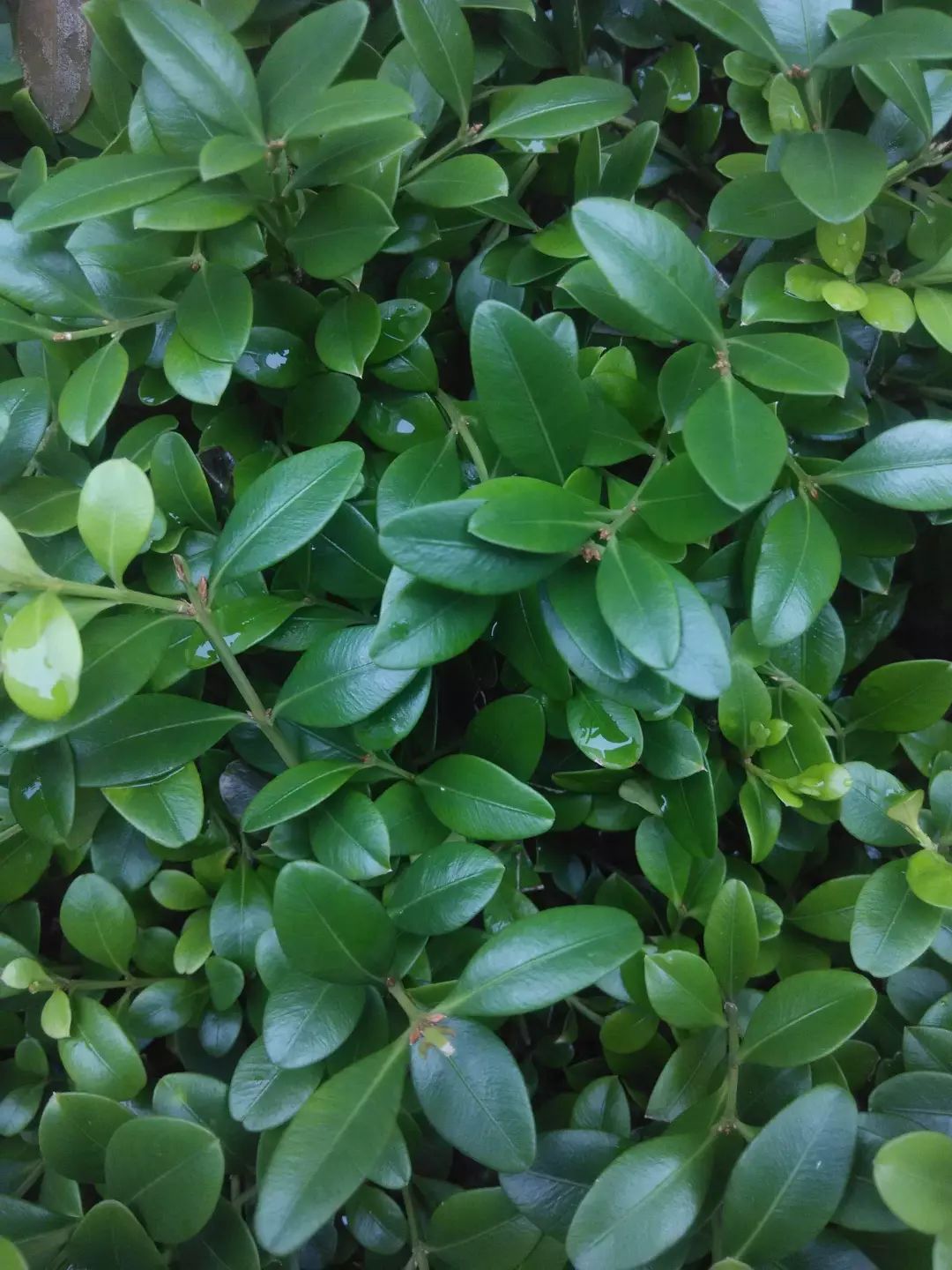1676899229789901.jpg 微信圖片_20230204140827.jpg