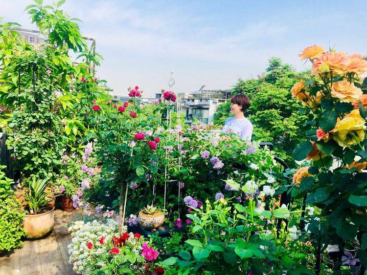 45平方樓頂花園實景圖-青望私家花園設計-1 45平方樓頂花園實景圖-青望私家花園設計-1