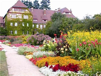 私家花園設計如何打造完美花境-成都青望園林景觀設計公司