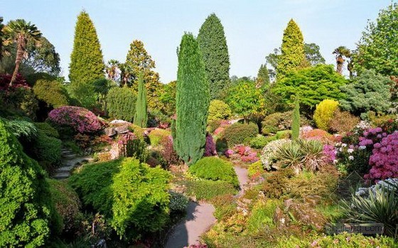 私家花園設計如何打造完美花境-成都青望園林景觀設計公司