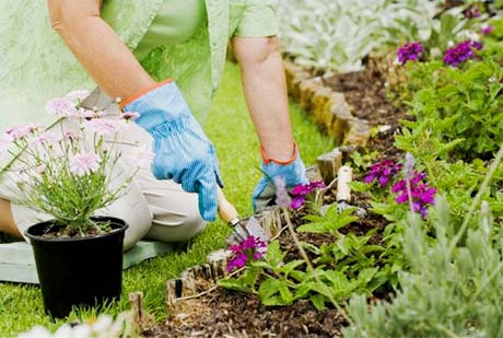 私家花園養護之：植物維護打理全年計劃表_成都花園裝修設計