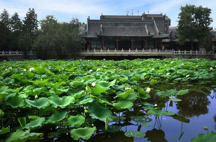 古蓮花池-中國十大私家園林-成都青望園林景觀設計公司