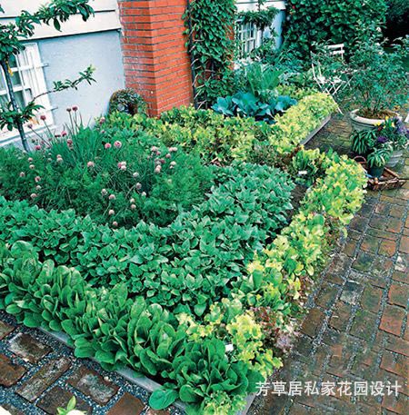 成都別墅花園設計_4種打造花園式菜園的絕妙方法