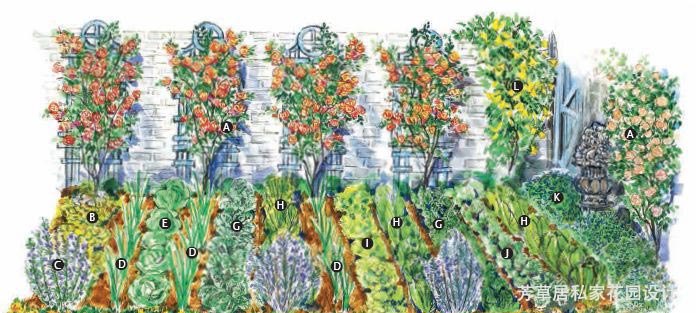 成都別墅花園設計_4種打造花園式菜園的絕妙方法