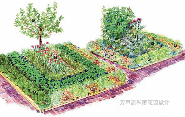 成都別墅花園設計_4種打造花園式菜園的絕妙方法