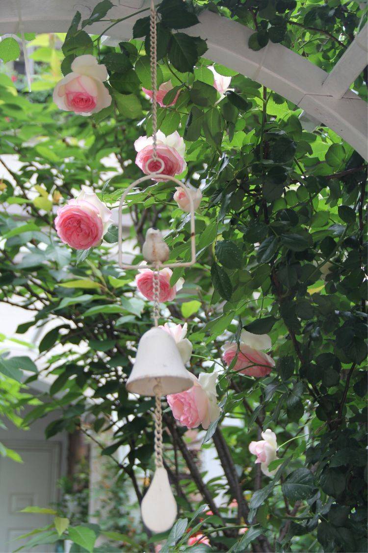 25平米花園種什么花比較好-成都青望園林景觀設計公司-1