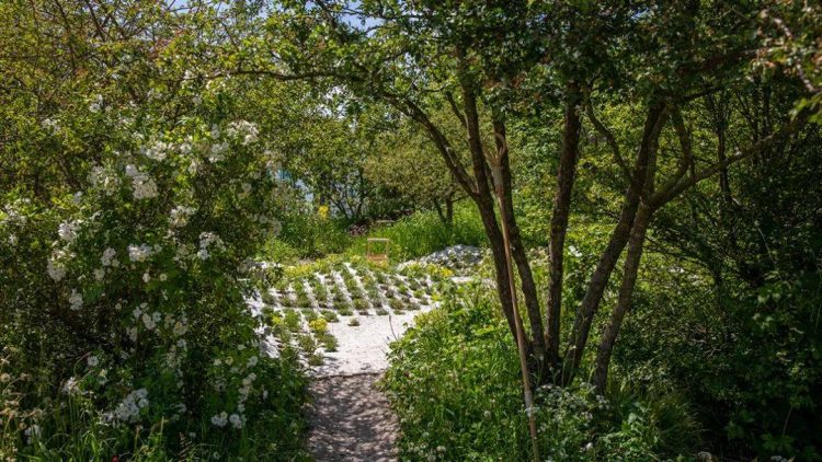 2022年切爾西花展花園設計作品實景圖片案例-成都青望園林景觀設計公司-1