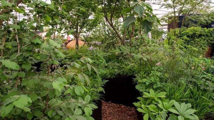 2022年切爾西花展花園設計作品實景圖片案例-成都青望園林景觀設計公司-1