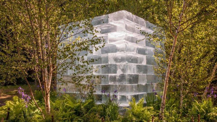2022年切爾西花展花園設計作品實景圖片案例-成都青望園林景觀設計公司-1