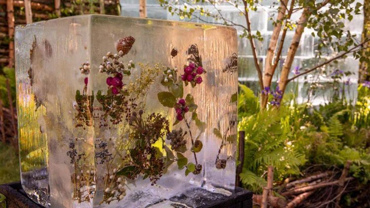 2022年切爾西花展花園設計作品實景圖片案例-成都青望園林景觀設計公司-1