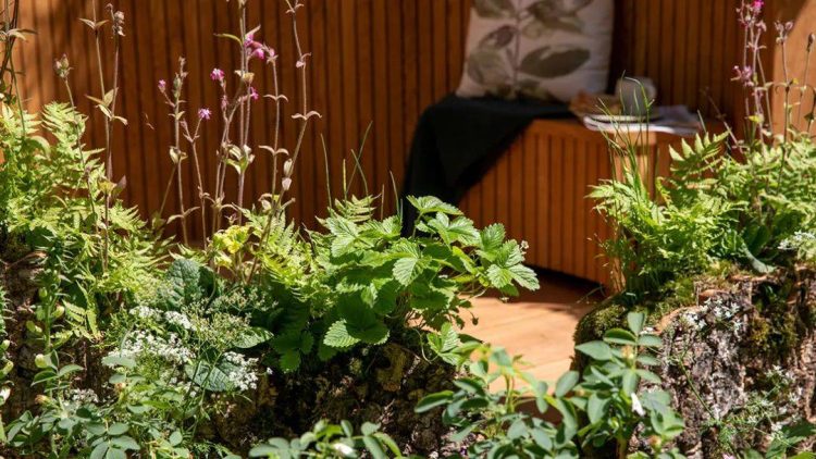 2022年切爾西花展花園設計作品實景圖片案例-成都青望園林景觀設計公司-1