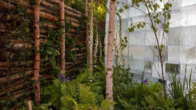 2022年切爾西花展花園設計作品實景圖片案例-成都青望園林景觀設計公司-1