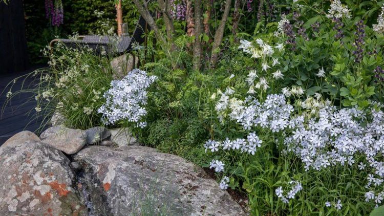 2022年切爾西花展花園設計作品實景圖片案例-成都青望園林景觀設計公司-1